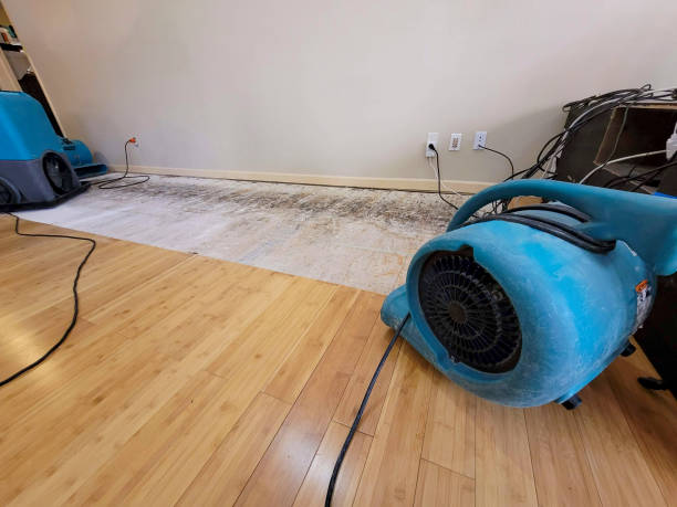 Professional Flood Damage Cleanup technician working in Dillon, SC
